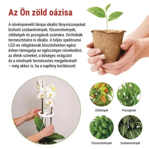 fűszer növény LED világítás lámpa