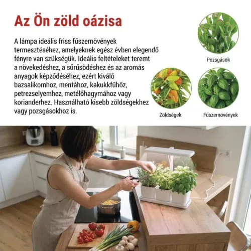 zöldfűszer növény nevelő növényvilágító LED lámpa