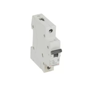 RX3 kismegszakító 1P C6 6000A BIC