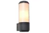 Lutec HEROS fali lámpatest, antracit, 15 W, IP 44