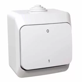 CEDAR PLUS Kétpólusú kapcsoló, IP44, fehér (102)